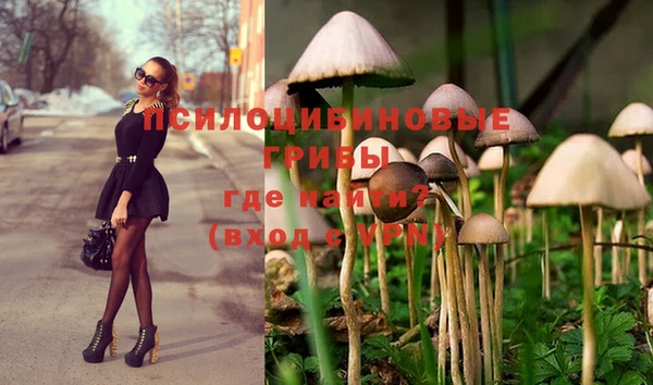 бутират Алзамай