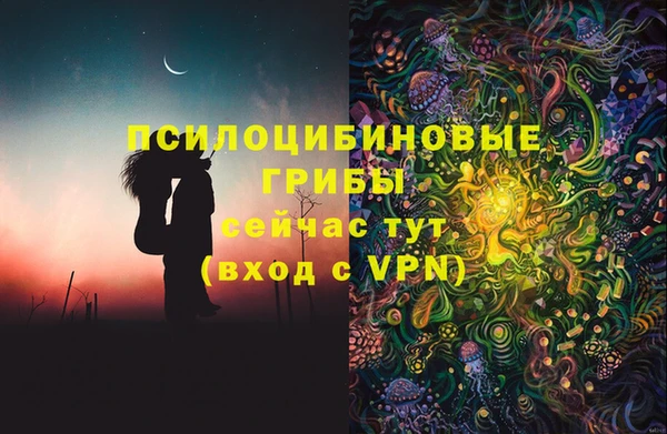 бутират Алзамай