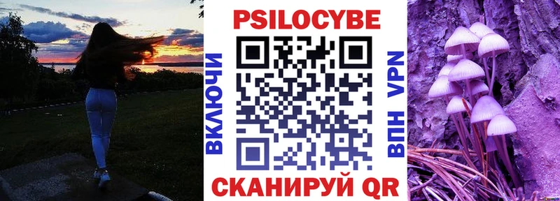 хочу Нижний Тагил Псилоцибиновые грибы GOLDEN TEACHER